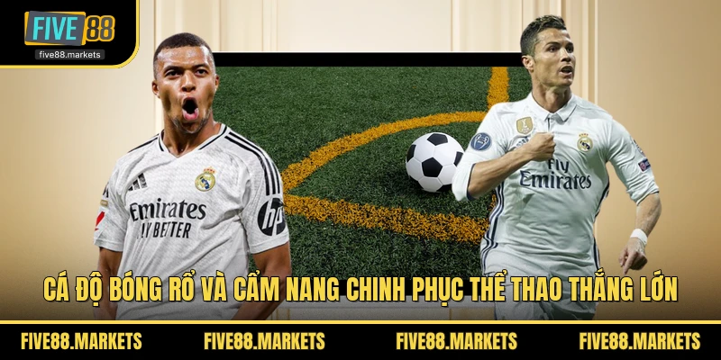Cá Độ Bóng Rổ