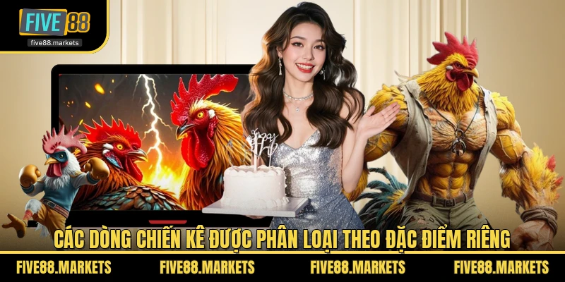 Các dòng chiến kê được phân loại theo đặc điểm riêng