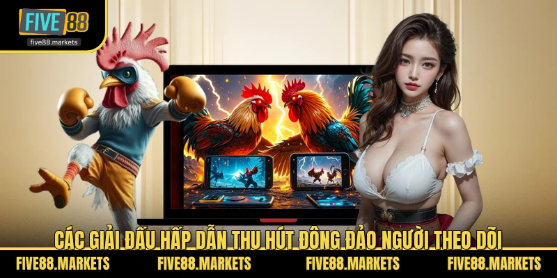 Các giải đấu hấp dẫn thu hút đông đảo người theo dõi