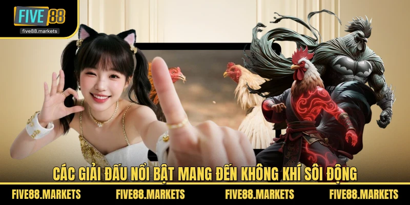 Các giải đấu nổi bật mang đến không khí sôi động