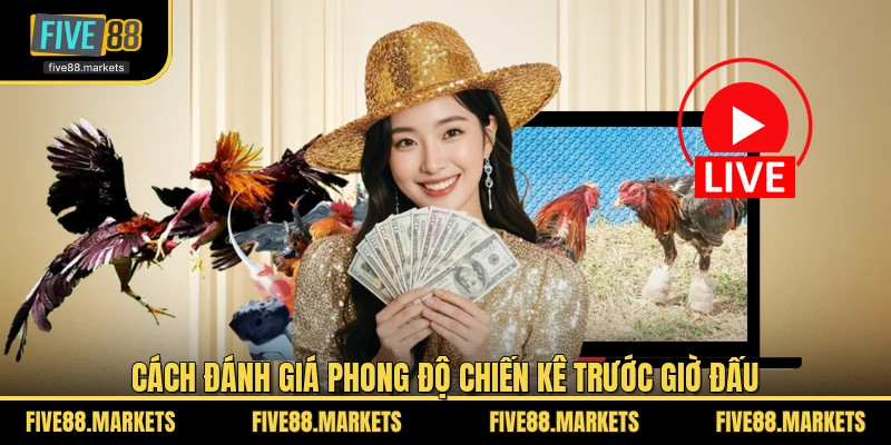 Cách đánh giá phong độ chiến kê trước giờ đấu