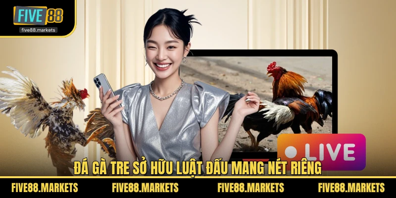 Đá gà tre sở hữu luật đấu mang nét riêng