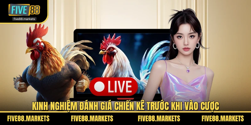 Kinh nghiệm đánh giá chiến kê trước khi vào cược