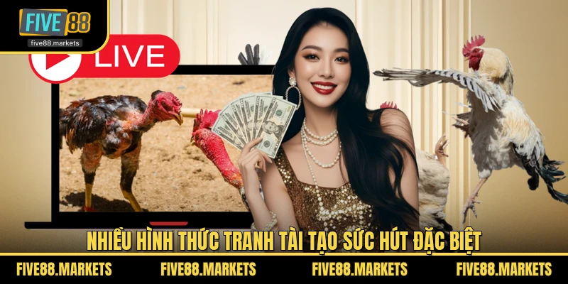 Nhiều hình thức tranh tài tạo sức hút đặc biệt