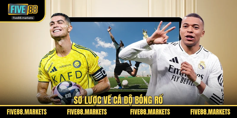 Sơ lược về cá độ bóng rổ